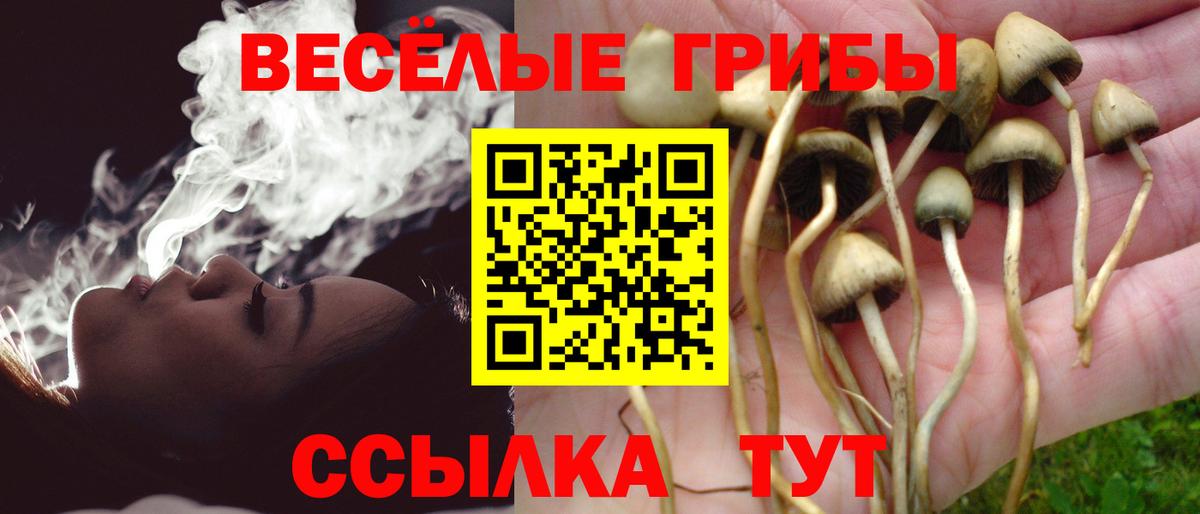 Галлюциногенные грибы Cubensis  Вход с VPN  Великий Новгород 